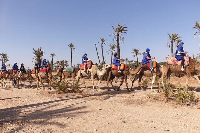 Marrakech Desert Camel Ride - Timing, sunset options, and the two-hour schedule
