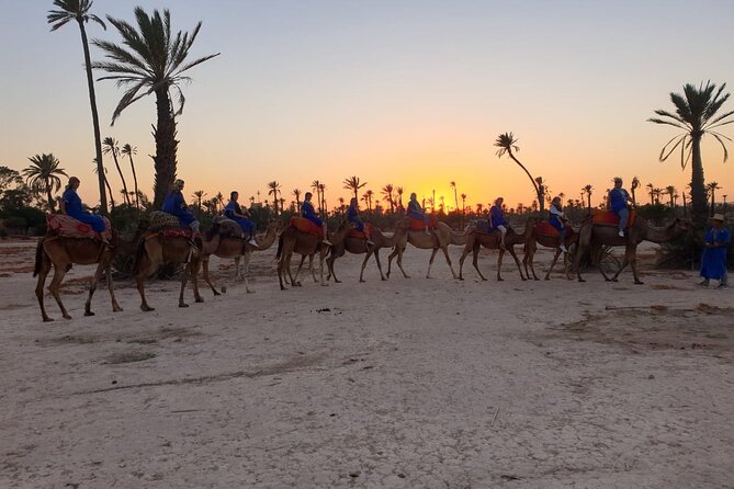 Marrakech Desert Camel Ride - Why the $26.71 price is good value