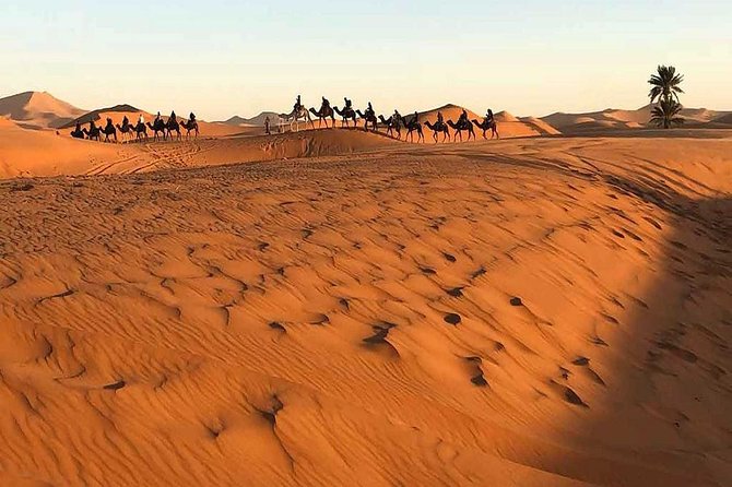 Marrakech Desert: Camel Ride, Quad Biking & Dinner Show Options - Dinner with tagine, couscous, and campfire entertainment