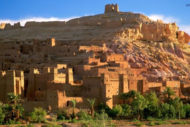 Marrakech Desert: Camel Ride, Quad Biking & Dinner Show Options - What the feedback says about guides and drivers