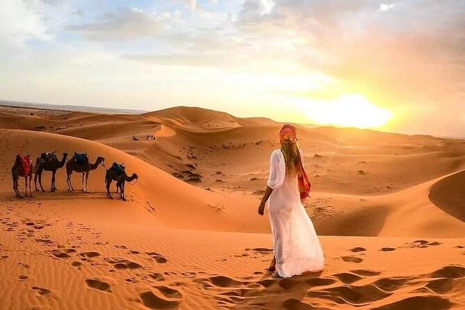 Marrakech Desert: Camel Ride, Quad Biking & Dinner Show Options - Is the luxury option worth paying for?