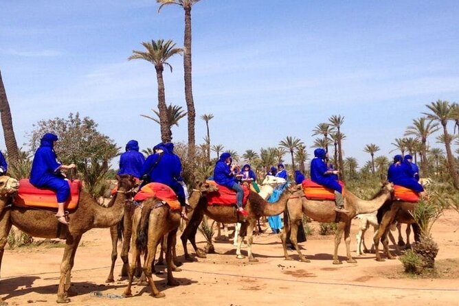 Marrakech Desert Camel Ride - Leaving Marrakech for the Palmeraie