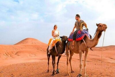 Marrakech Desert Quad and Camel ride, Lunch, and Poolside