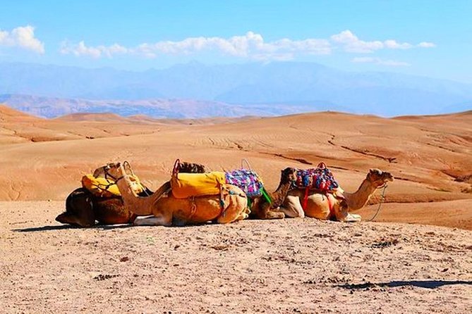 Marrakech Desert Quad and Camel ride, Lunch, and Poolside - Meeting a local guide in a Berber village