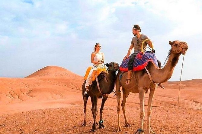 Marrakech Desert Quad and Camel ride, Lunch, and Poolside - The argan cooperative and the first cultural stop