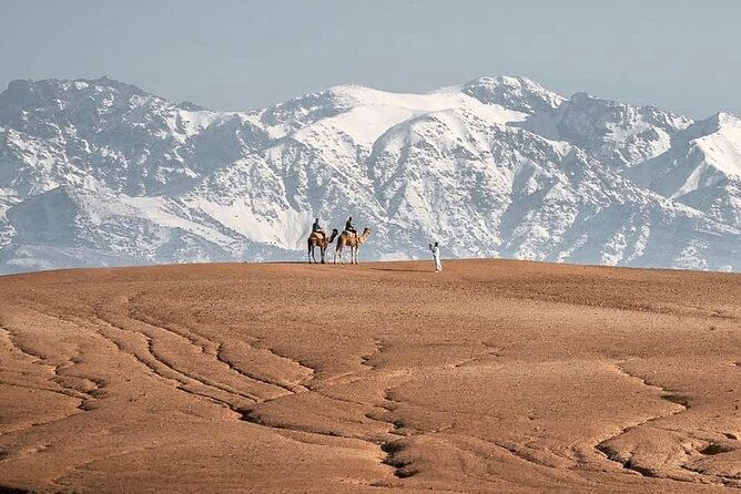 Marrakech Desert Tour & Sunset Camel Ride with Dinner Show - The argan oil stop and the road to the camp