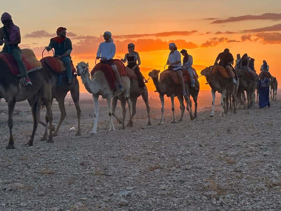 Marrakech: Desert Tour with Dinner, Show and Camel Ride - Key points to know before you book