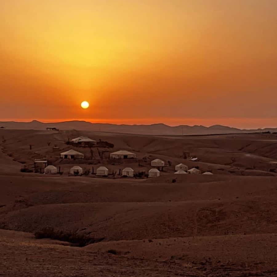 Marrakech: Desert Tour with Dinner, Show and Camel Ride - Camel riding across the rocky desert