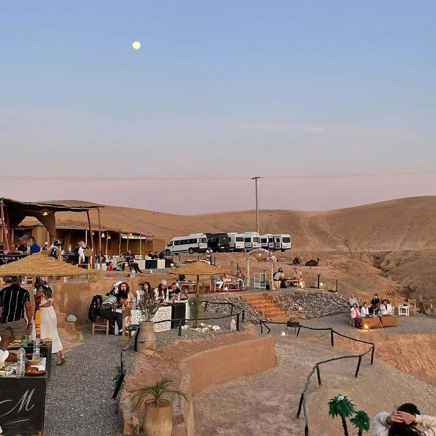 Marrakech: Desert Tour with Dinner, Show and Camel Ride - Who will enjoy this evening most?