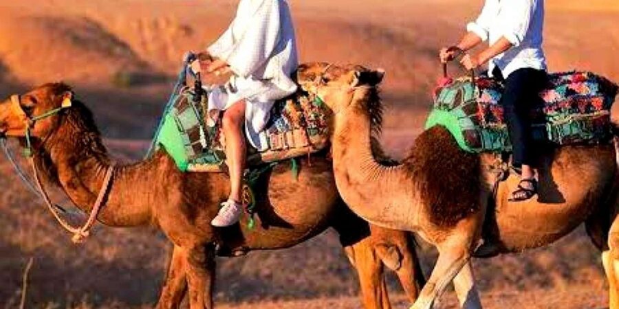 Marrakech: Dinner and Quad bike Desert Agafay Stars & show - Moroccan dinner under the stars