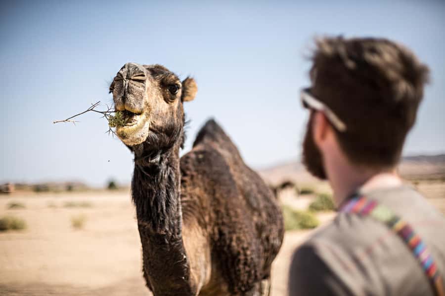 Marrakech: Dinner in Agafay Desert, Fire show & Camel Ride - Camel Riding in the Rocky Desert
