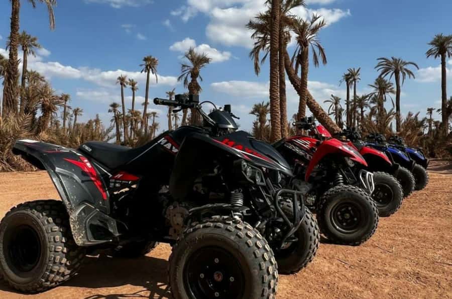 Marrakech: Dunes of the Palmeraie Quad Bike Ride with Tea - The palm grove photo stop