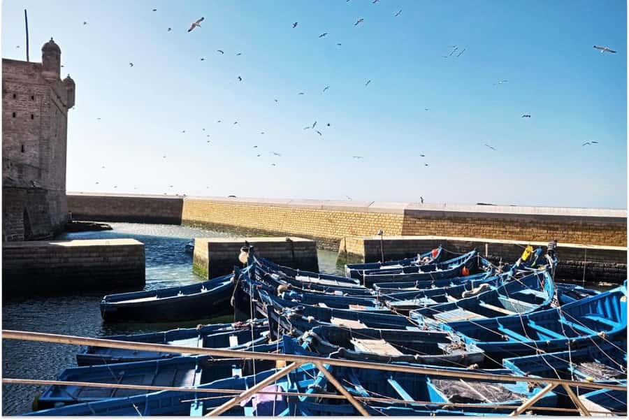Marrakech: Essaouira Day Trip with Guided Tour - Key points at a glance