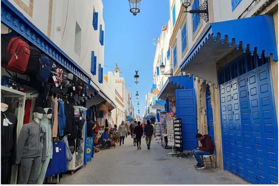 Marrakech: Essaouira Day Trip with Guided Tour - Seeing how argan oil is produced