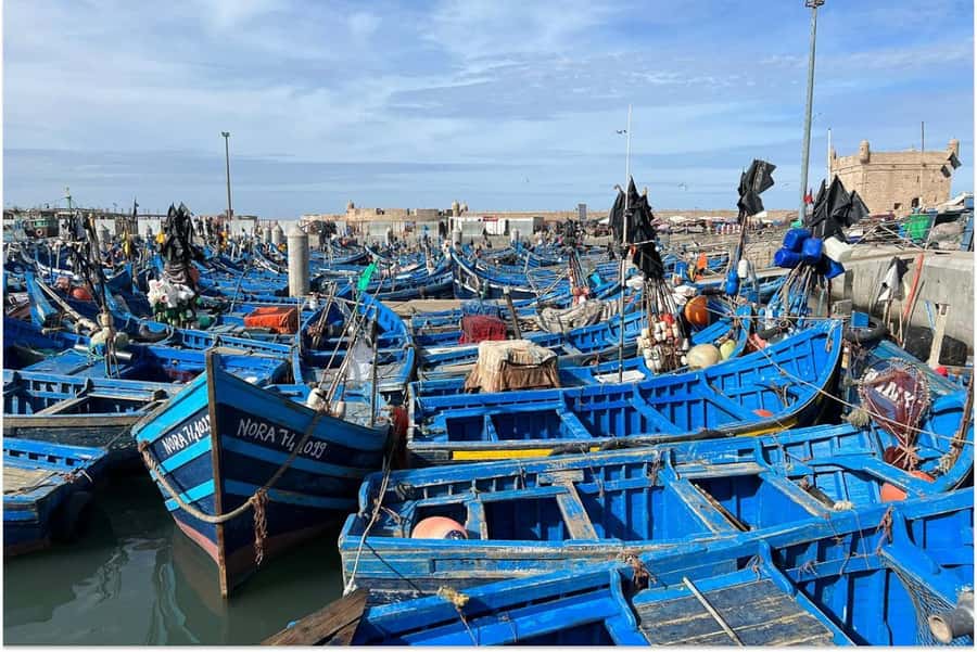 Marrakech: Essaouira Day Trip with Guided Tour - Morning pickup and the road through the Haouz plains