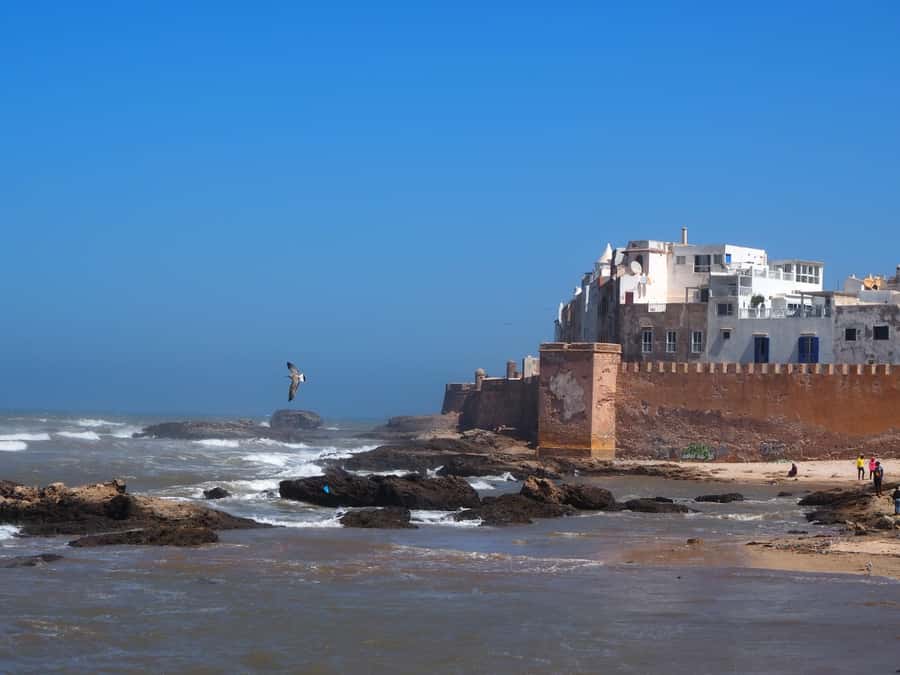 Marrakech: Essaouira Day Trip with Transfers and Co-op Visit - Argan trees, goats, and a women’s cooperative