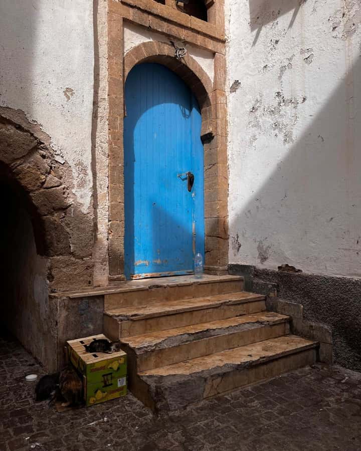 Marrakech: Essaouira Day Trip with Transfers and Co-op Visit - What makes the free time better than a guided walk