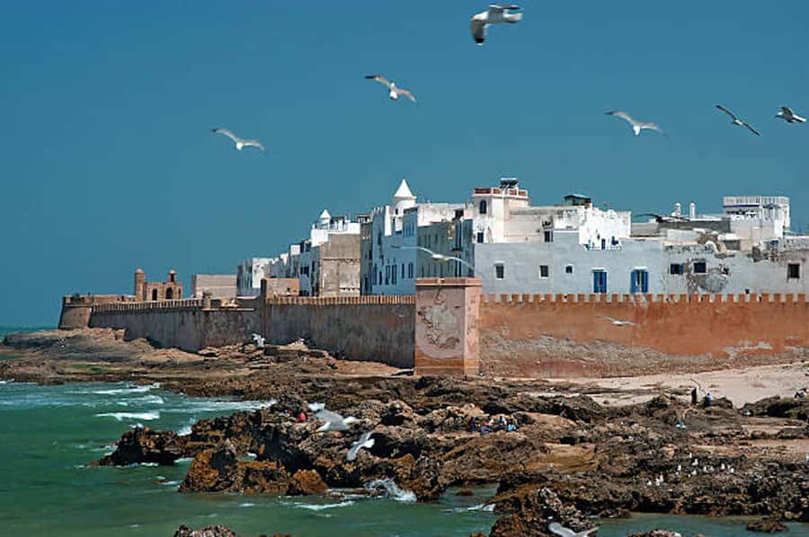 Marrakech: Essaouira Full-Day Trip - Lunch in Essaouira: choose with care