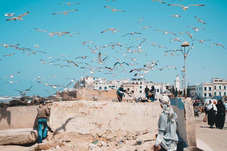 Marrakech: Essaouira Full-Day Trip - The return to Marrakech