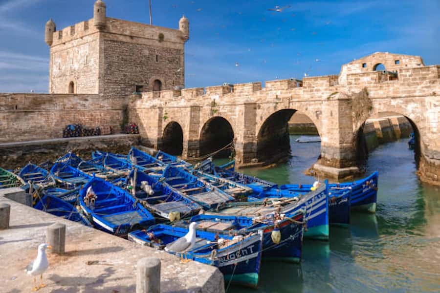 Marrakech: Essaouira Full-Day Trip - The argan oil cooperative stop