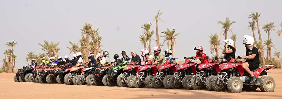 Marrakech:excursion quad in Oasis palm & jbilat desert,tea - Riding through palms, tracks, and dunes