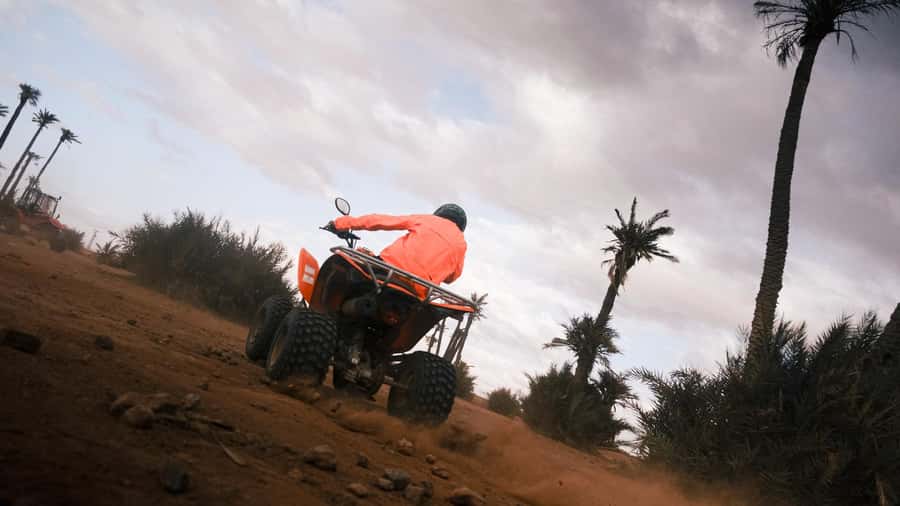 Marrakech:excursion quad in Oasis palm & jbilat desert,tea - Who will enjoy this three-hour outing
