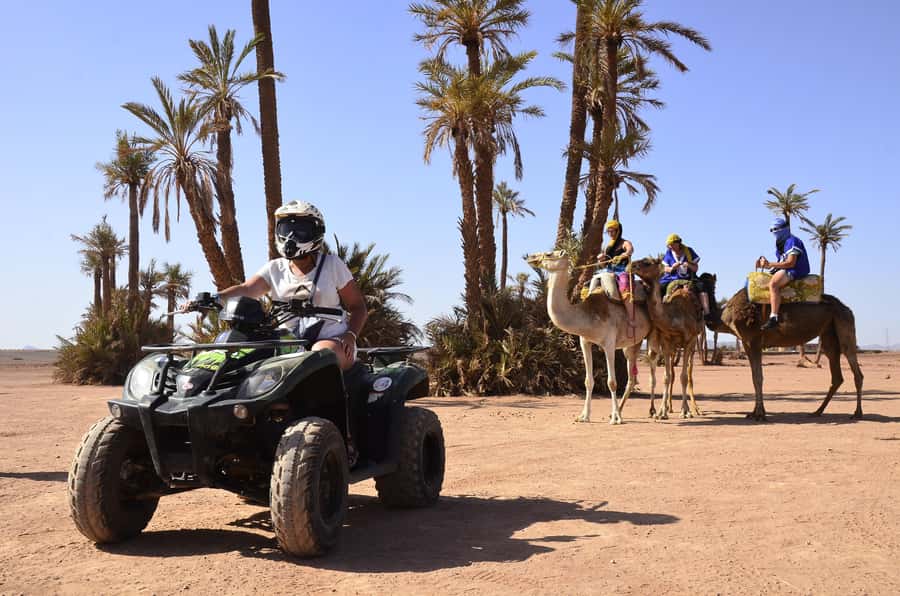 Marrakech:excursion quad in Oasis palm & jbilat desert,tea - Communication, guides, and the human side