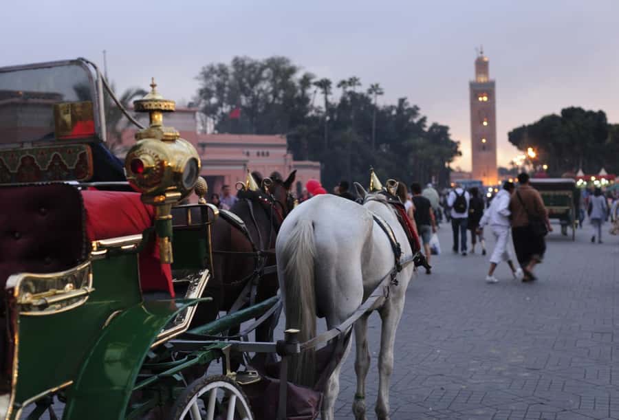 Marrakech Full-Day Guided Tour with Lunch - What a full day in Marrakech really covers
