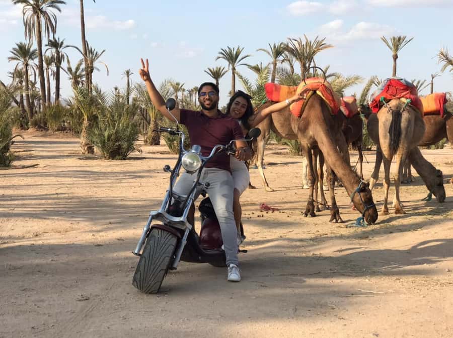 Marrakech: Glide Through the Red City on an EcoScooter Tour! - Starting at the Sofitel and Reaching Koutoubia