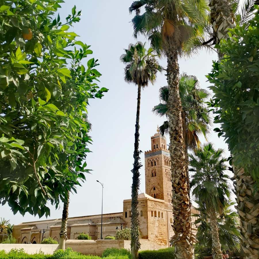 Marrakech: Guided Bike Tour with a local Guide - Returning to Gueliz after three hours