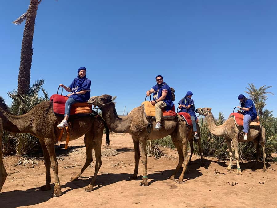 Marrakech: Guided Quad Bike and Camel Ride Tour with Tea - From Marrakech to the Palmeraie in 30 minutes