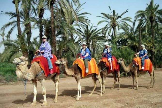 Marrakech: Half-Day Camel Ride in Palm Grove - Leaving Marrakech for the Palm Grove