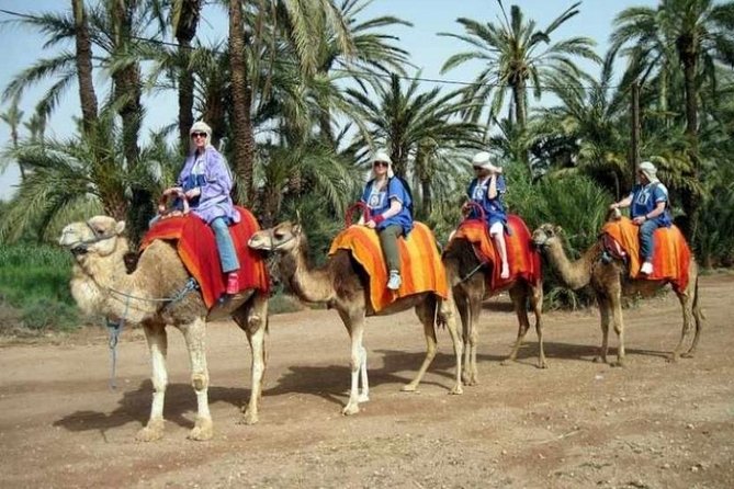 Marrakech: Half-Day Camel Ride in Palm Grove - Dressing in robes and meeting your camel