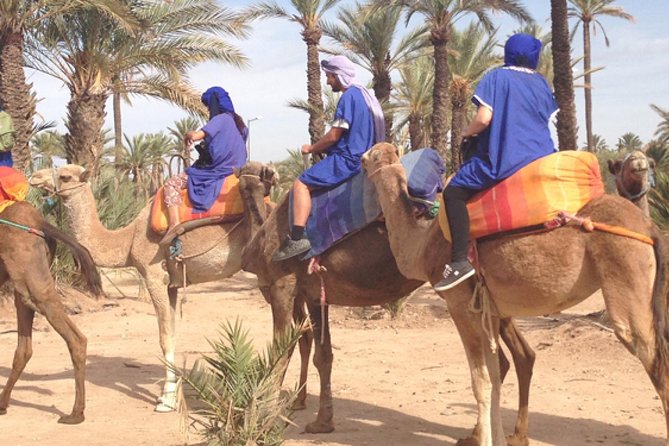 Marrakech: Half-Day Camel Ride in Palm Grove - One hour of slow riding through the palms