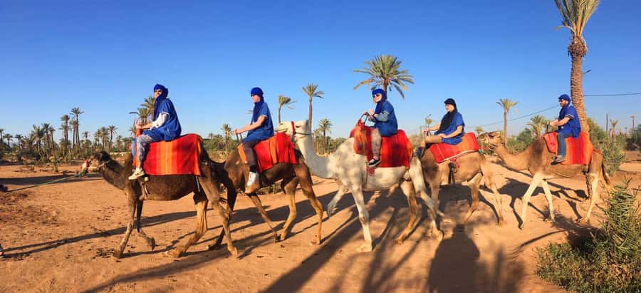 Marrakech: Half-Day Camel Ride in Palm Grove - Mint tea and the small finishing touches