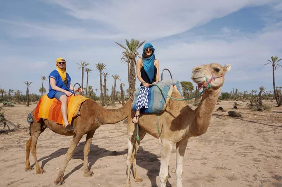 Marrakech: Half-Day Camel Ride in Palm Grove - Is $17 good value for Marrakech?