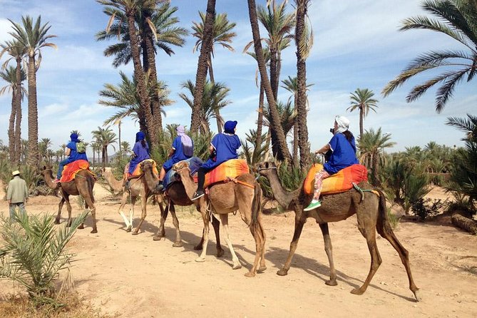 Marrakech: Half-Day Camel Ride in Palm Grove - The Palm Grove is close, but it feels different