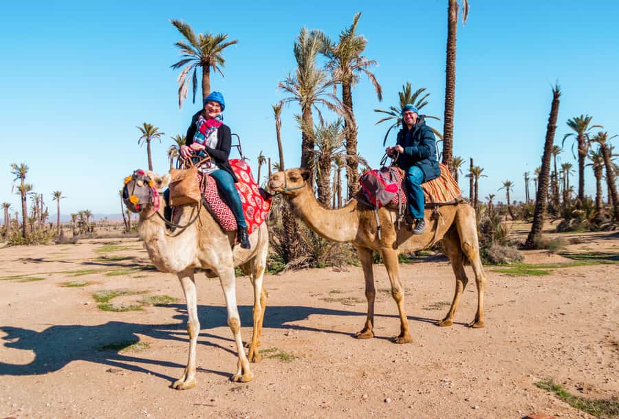 Marrakech: Half-Day Desert Quad Tour with Camel Ride - Leaving Marrakech for the dry country