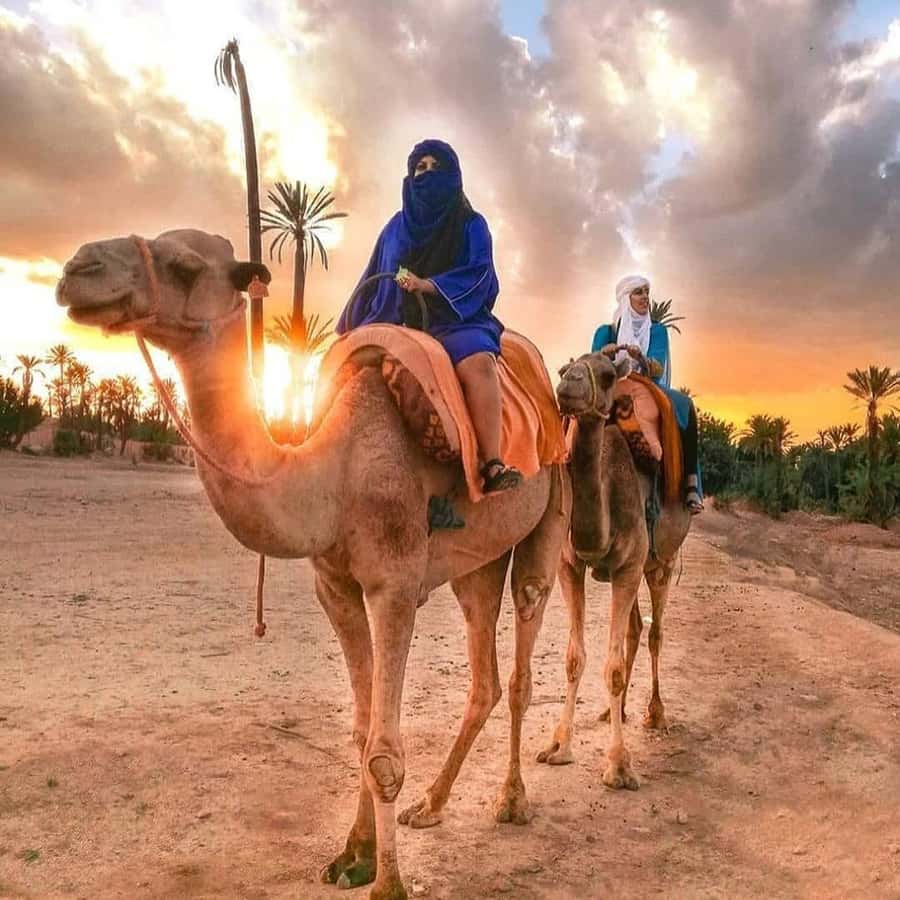 Marrakech: Half-Day Desert Quad Tour with Camel Ride - What the dust really means