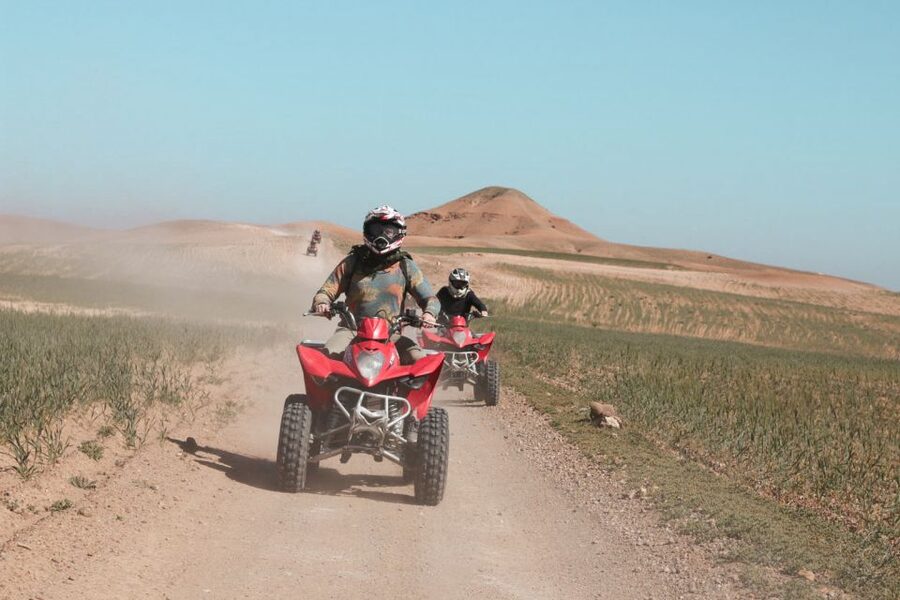 Marrakech: Half-Day Desert Quad Tour with Camel Ride - Who should book this Marrakech quad and camel tour?