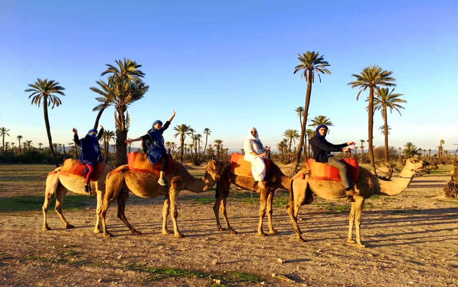 Marrakech: Half-day Dunes Trip With Buggy and Camel Ride - Key Points Before You Book