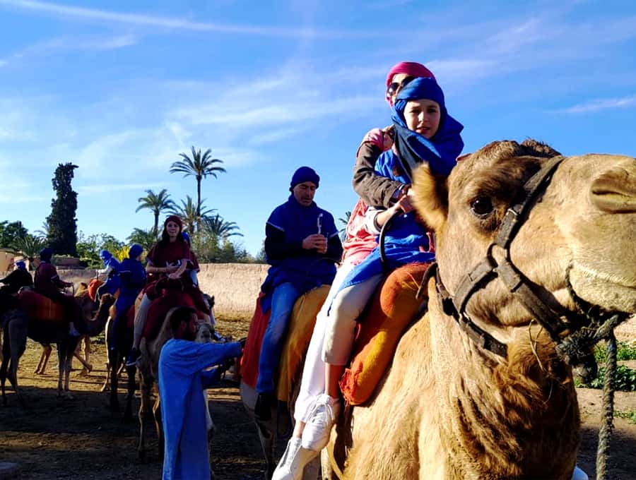 Marrakech: Half-day Dunes Trip With Buggy and Camel Ride - Leaving Marrakech for the Desert