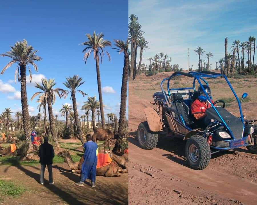 Marrakech: Half-day Dunes Trip With Buggy and Camel Ride - A Berber Village Stop With Tea and Local Context