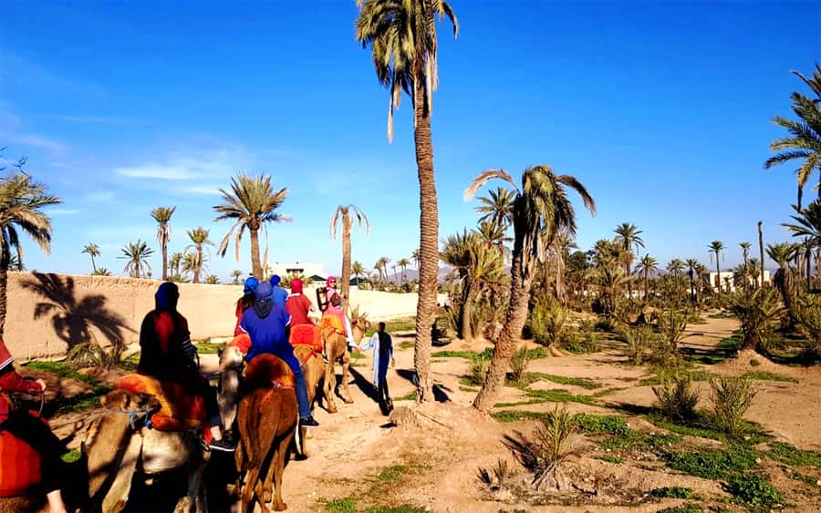 Marrakech: Half-day Dunes Trip With Buggy and Camel Ride - Price, Value, and Who Gets the Best Deal