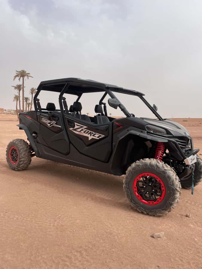 Marrakech: Half-day private tour in a 1000cc buggy in the Agafay Desert - Booking details that matter