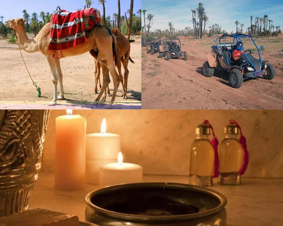 Marrakech: Half-Day Tour with Buggy Ride, Camel Ride and Spa - Key points at a glance