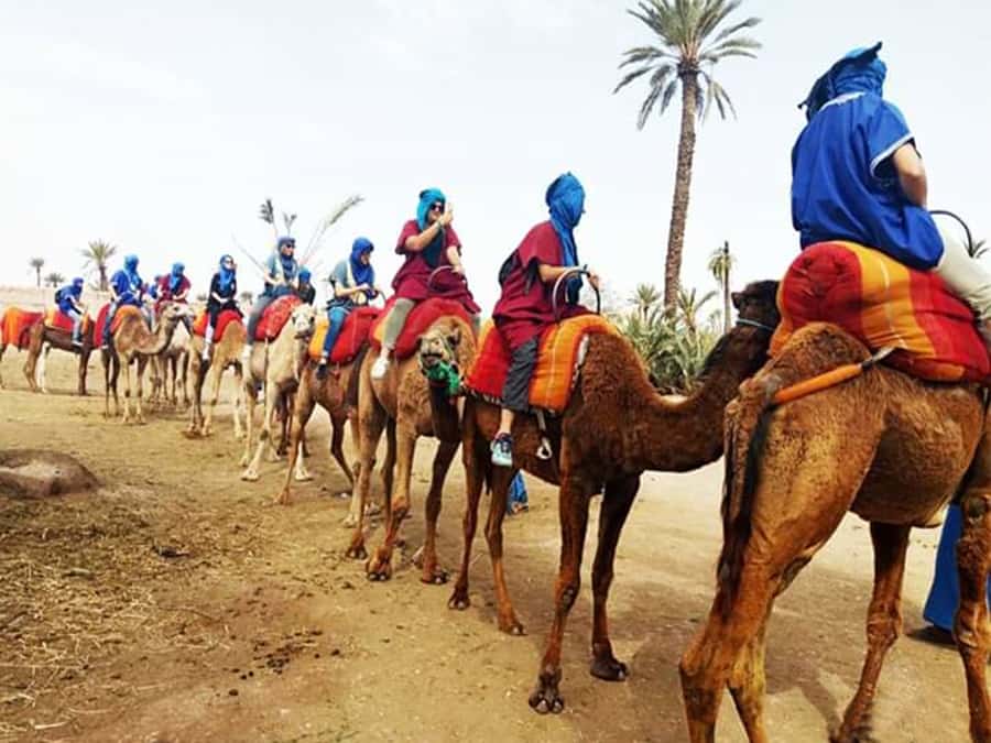 Marrakech: Half-Day Tour with Buggy Ride, Camel Ride and Spa - Coffee, mint tea, and a Berber village pause