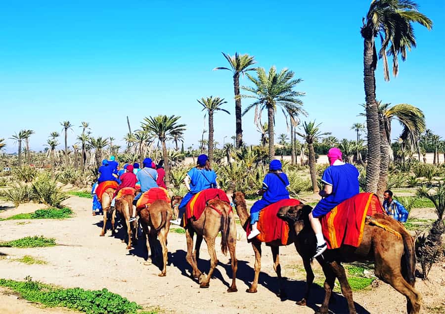 Marrakech: Half-Day Tour with Buggy Ride, Camel Ride and Spa - A 45-minute hammam and massage in the Medina