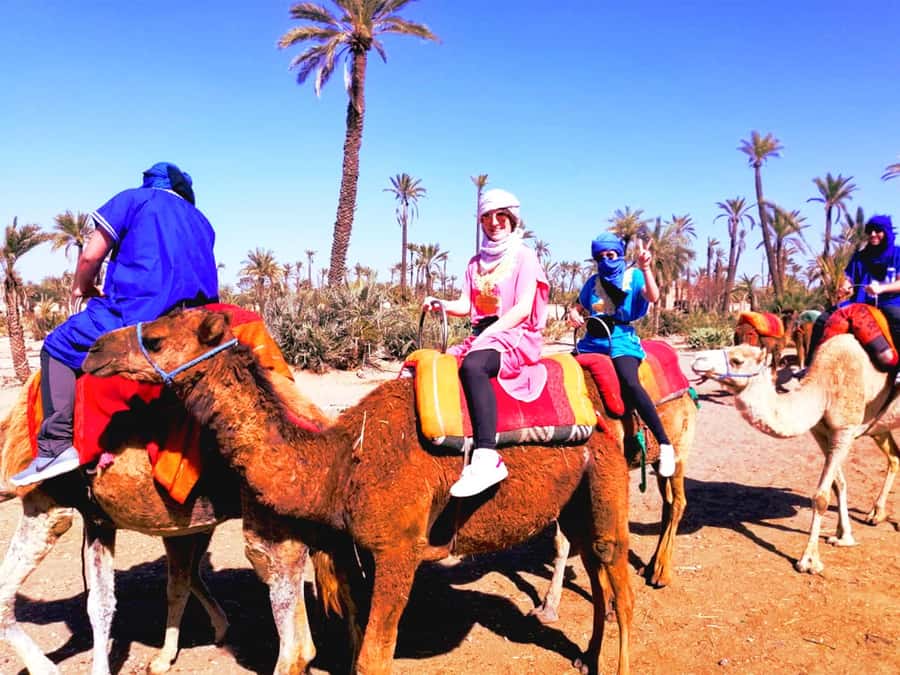 Marrakech: Half-Day Tour with Buggy Ride, Camel Ride and Spa - Should you book this Marrakech tour?