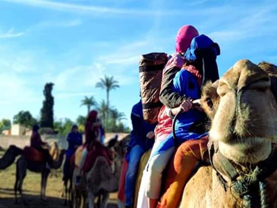 Marrakech: Half-Day Tour with Buggy Ride, Camel Ride and Spa - The 1-hour-45-minute buggy ride